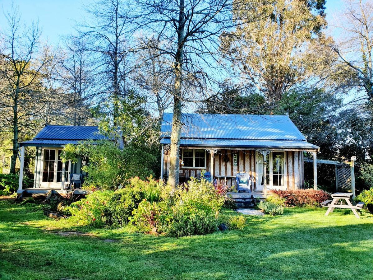 Bumblebee Cottage Greytown Exterior photo