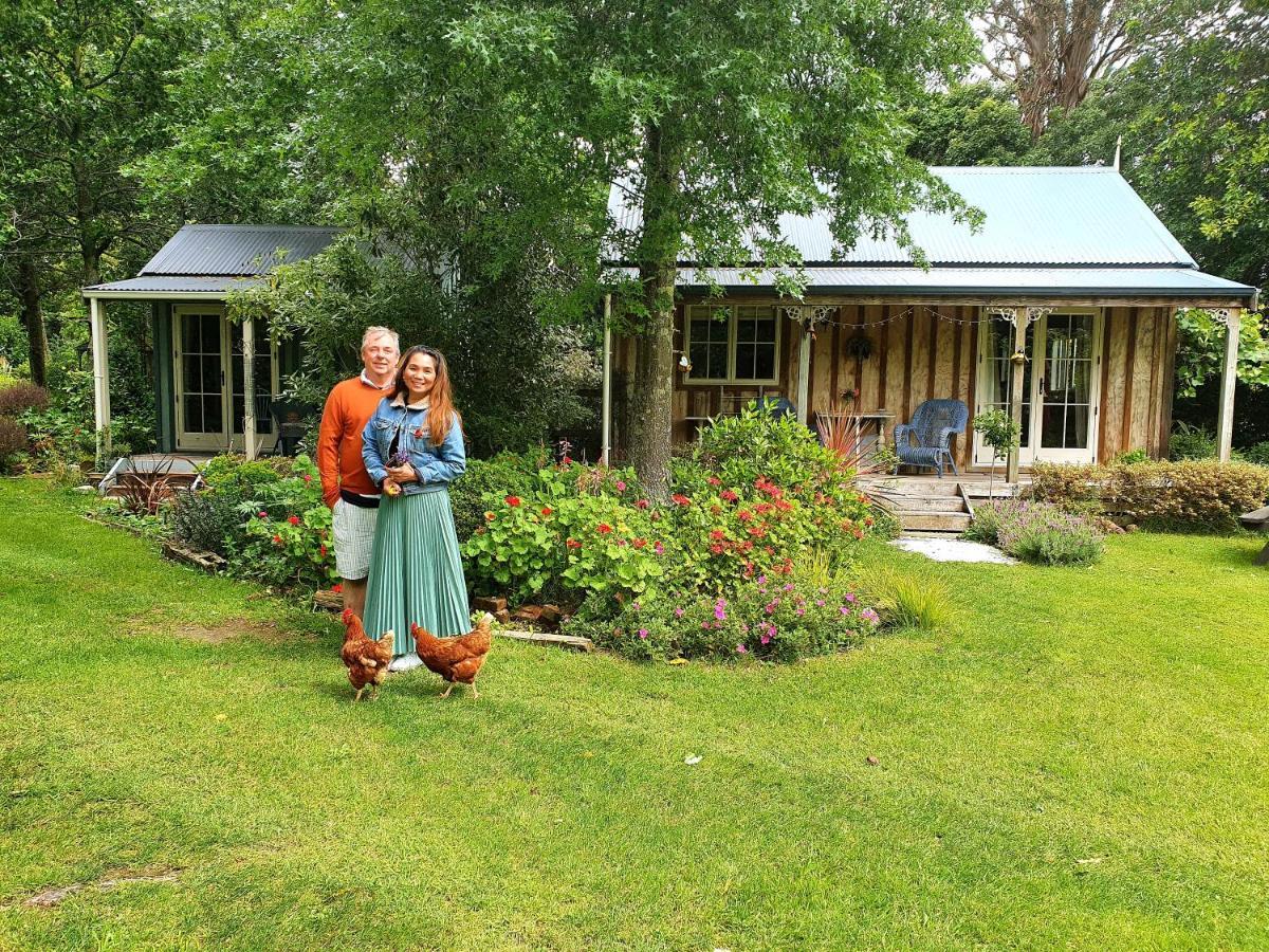 Bumblebee Cottage Greytown Exterior photo